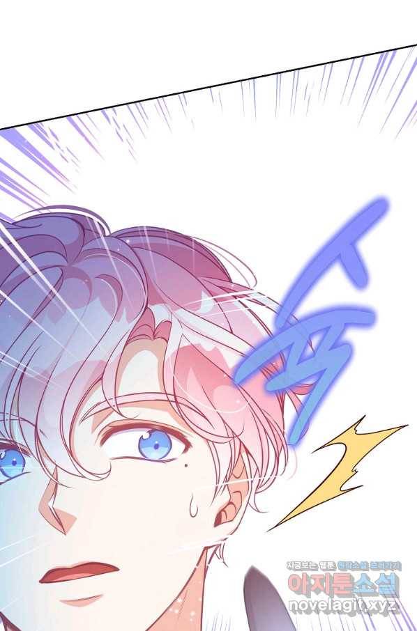 악당 대공님의 귀하디귀한 여동생 74화 8