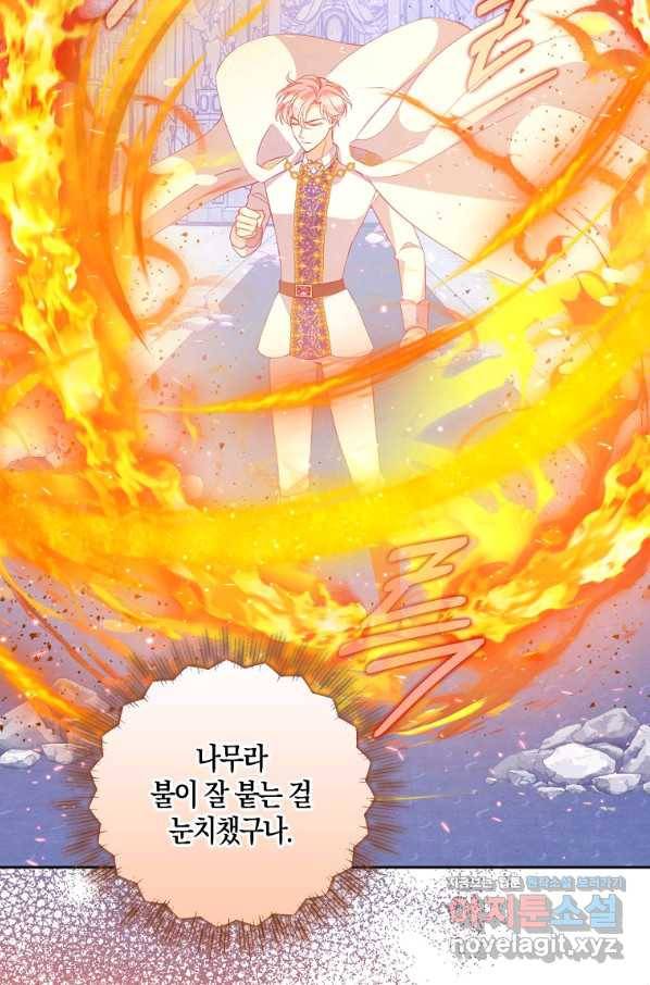 악당 대공님의 귀하디귀한 여동생 74화 20