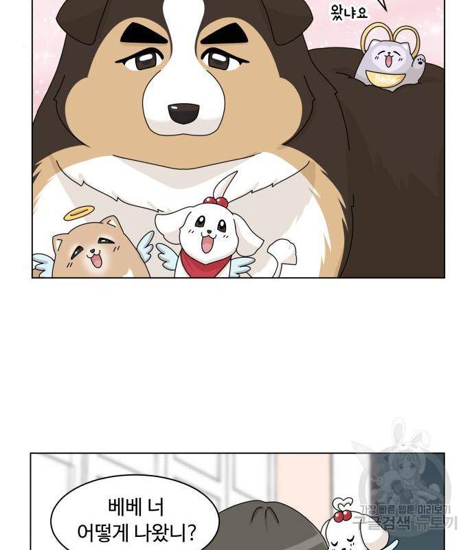 개를 낳았다 시즌2 102화 3