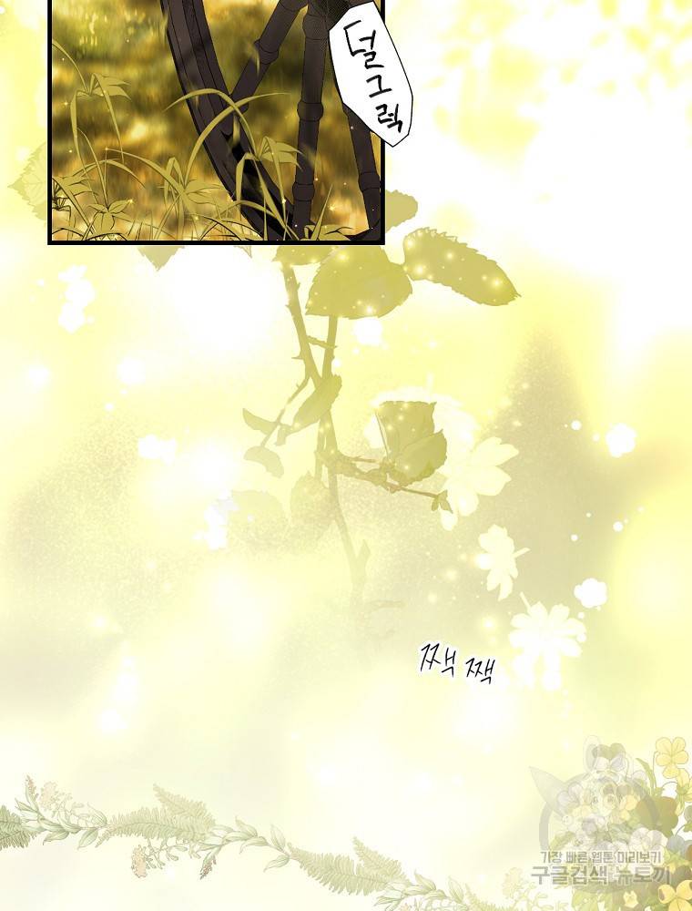 시크릿 레이디 56화 2