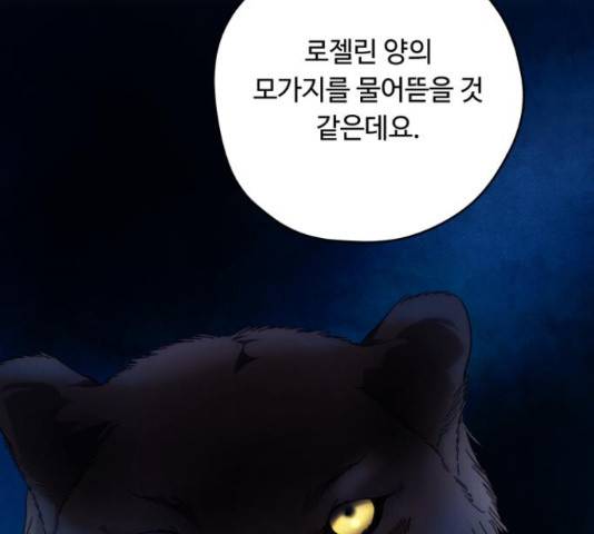 북부 공작님을 유혹하겠습니다 12화 4
