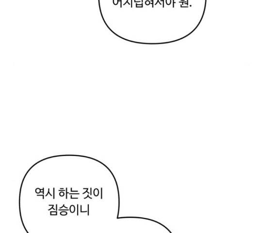 북부 공작님을 유혹하겠습니다 12화 17
