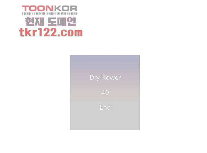 드라이 플라워 (Dry flower) 40화 45