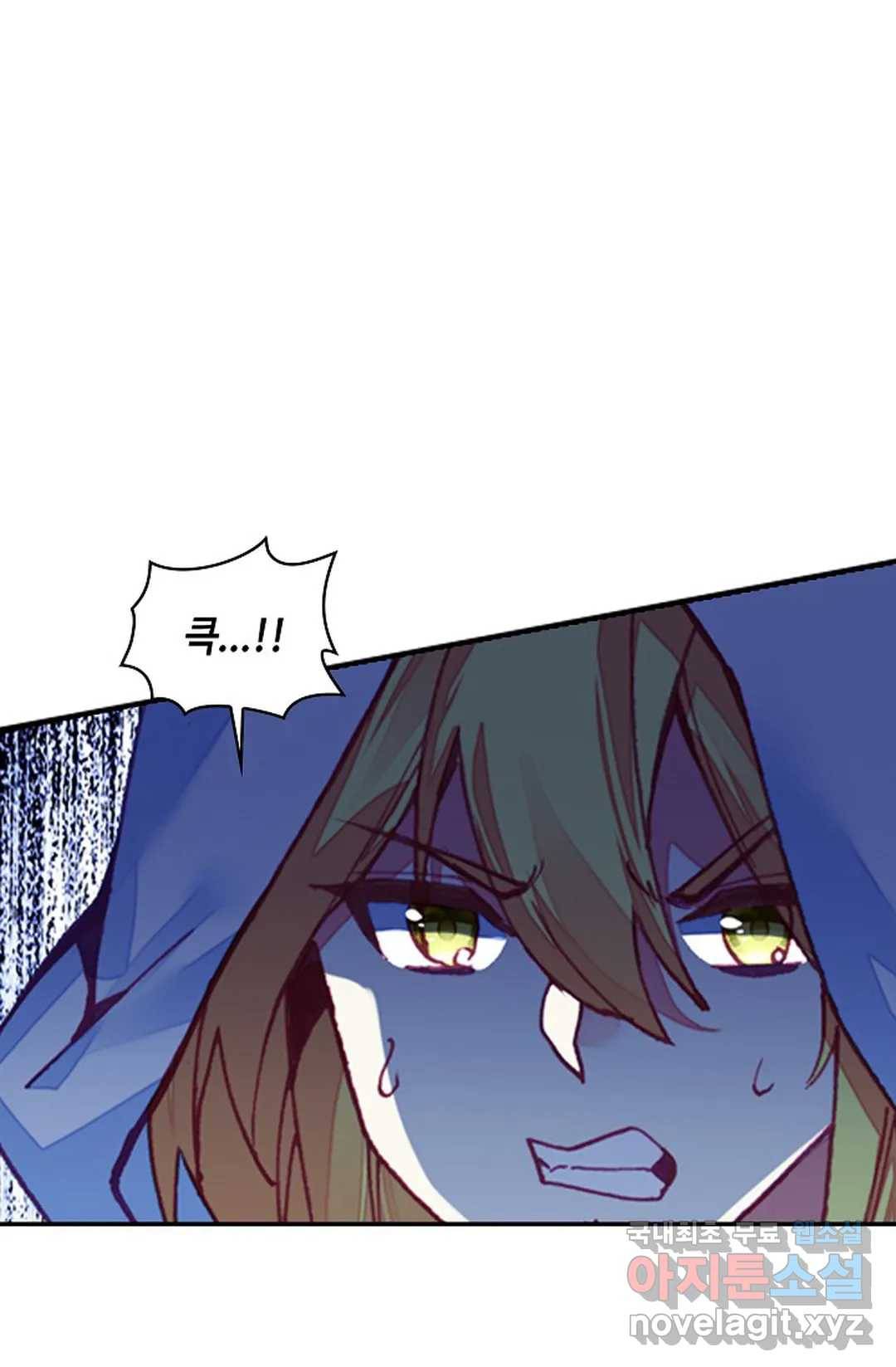 사신 영웅전: 바보 마법사 영웅이 되다 208화 32
