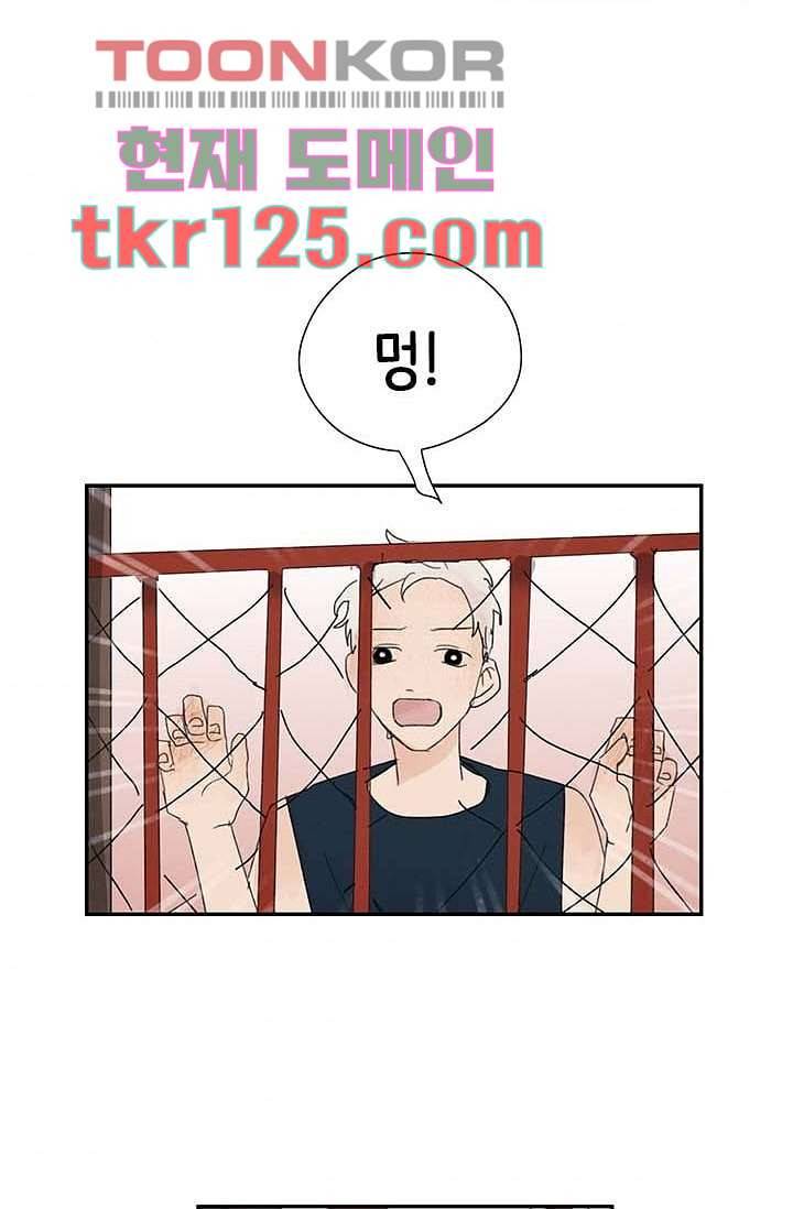 마이 러블리 투투 39화 4