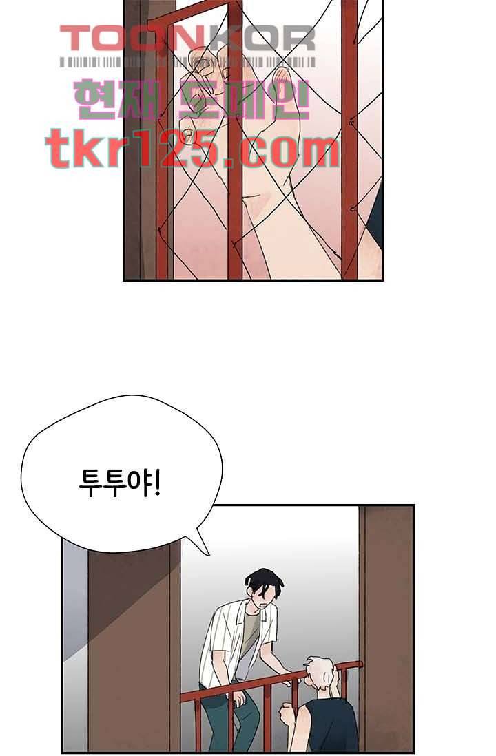 마이 러블리 투투 39화 5