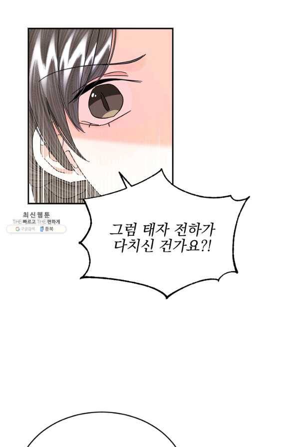 황태자의 첩 35화 48