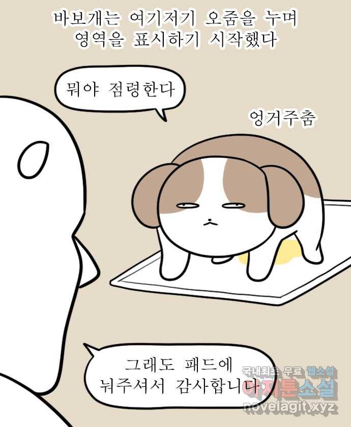 독립일기 시즌2 84화 어서 와 우리 집은 처음이지 5