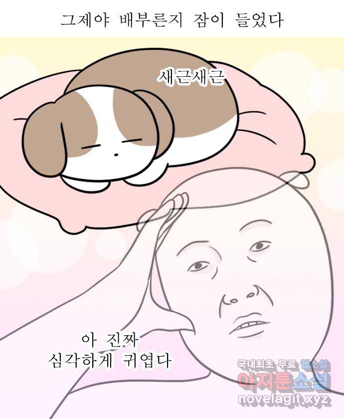 독립일기 시즌2 84화 어서 와 우리 집은 처음이지 12