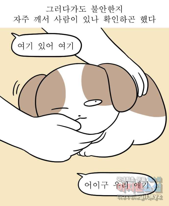 독립일기 시즌2 84화 어서 와 우리 집은 처음이지 13