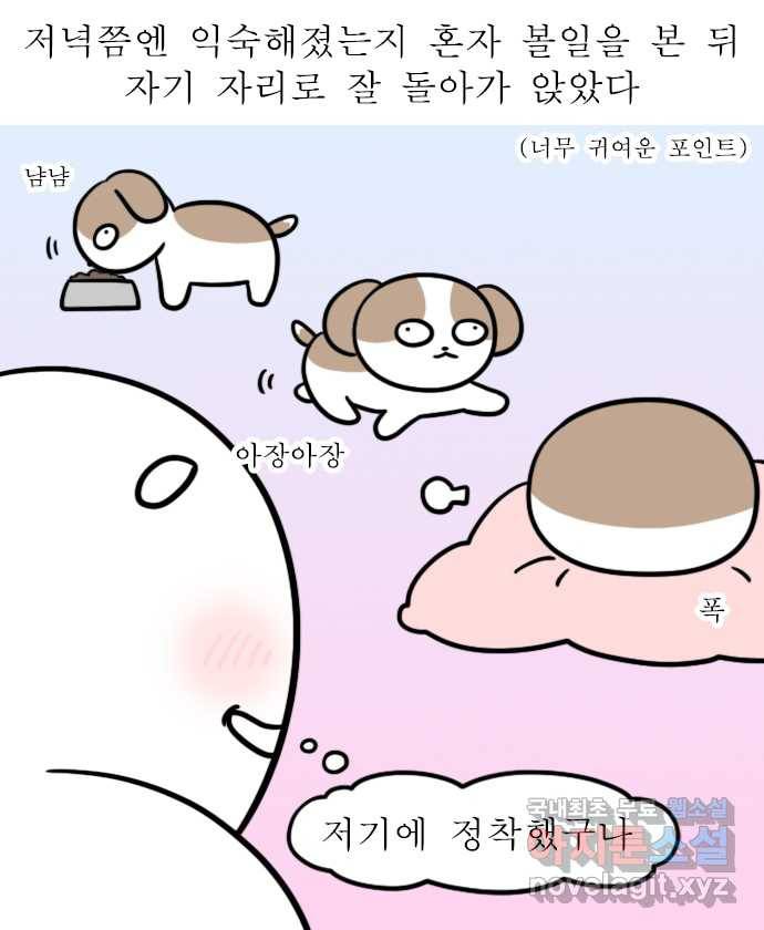 독립일기 시즌2 84화 어서 와 우리 집은 처음이지 14
