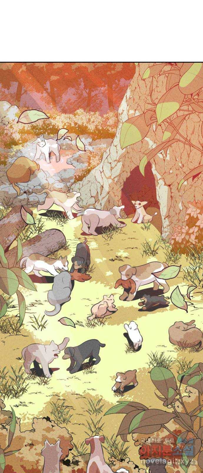 개와 사람의 시간 11화 2