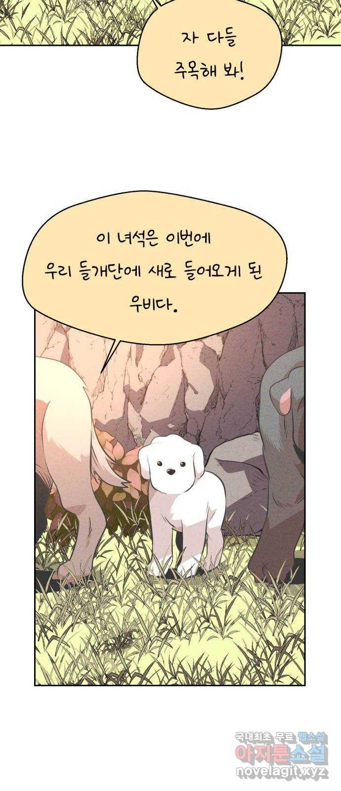 개와 사람의 시간 11화 5