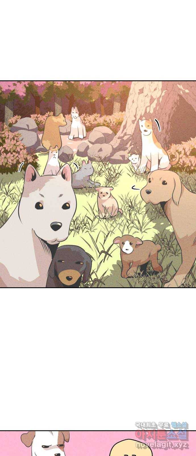 개와 사람의 시간 11화 6