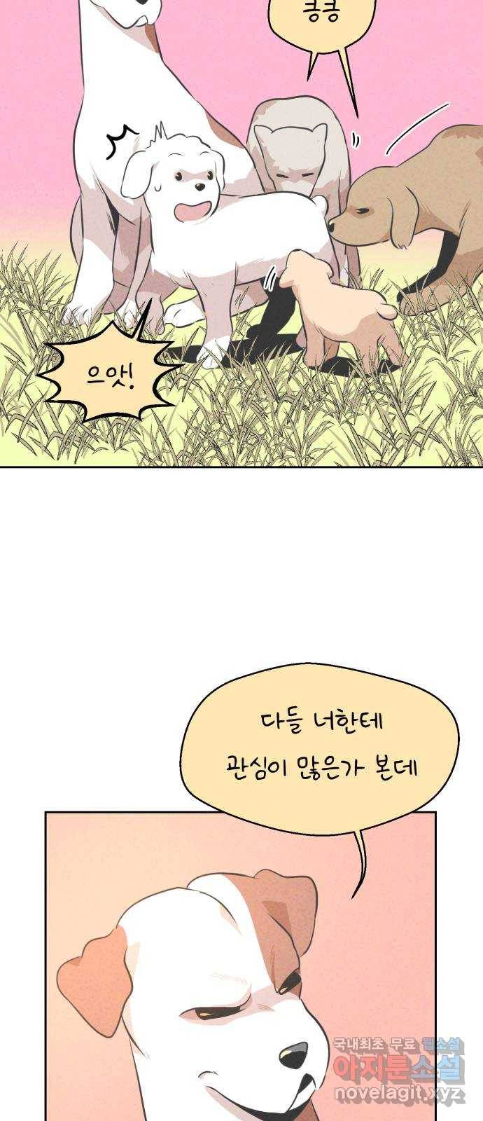개와 사람의 시간 11화 7