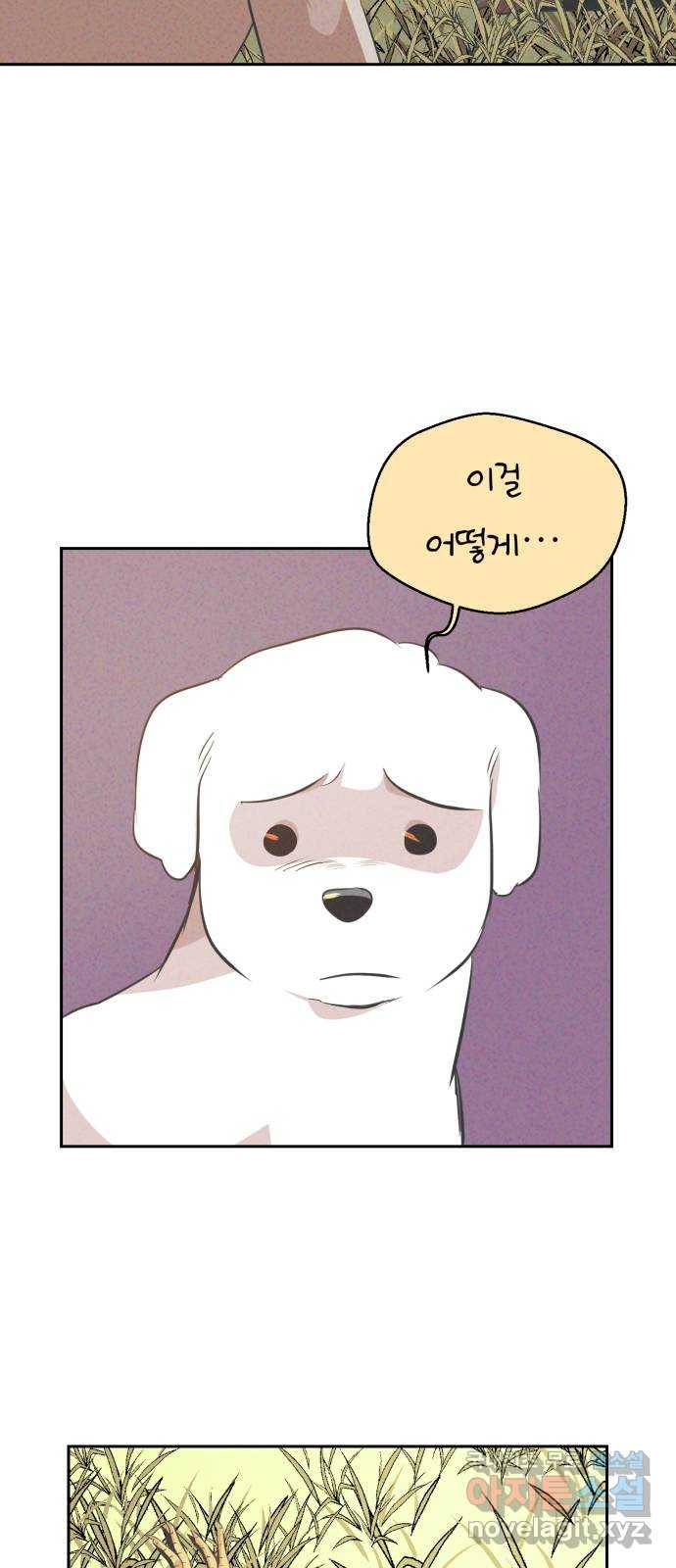 개와 사람의 시간 11화 13