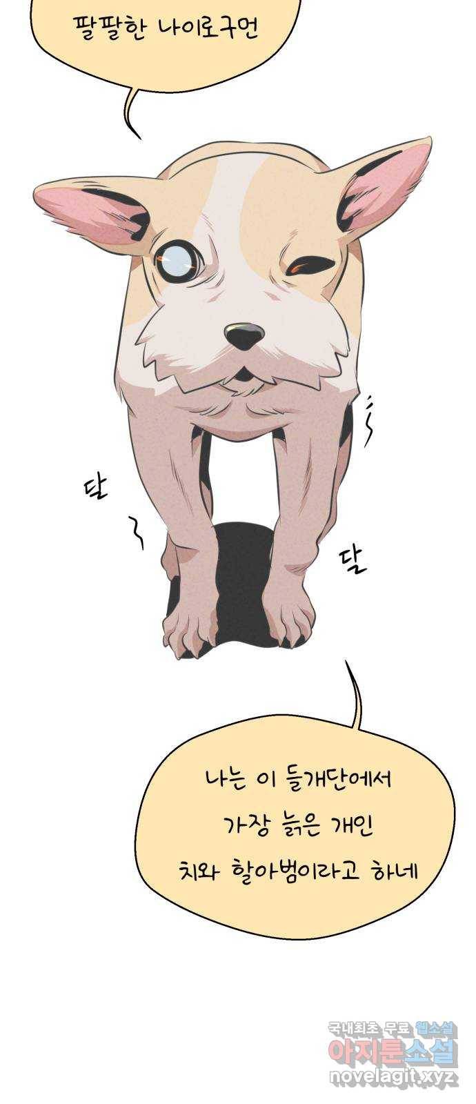 개와 사람의 시간 11화 17