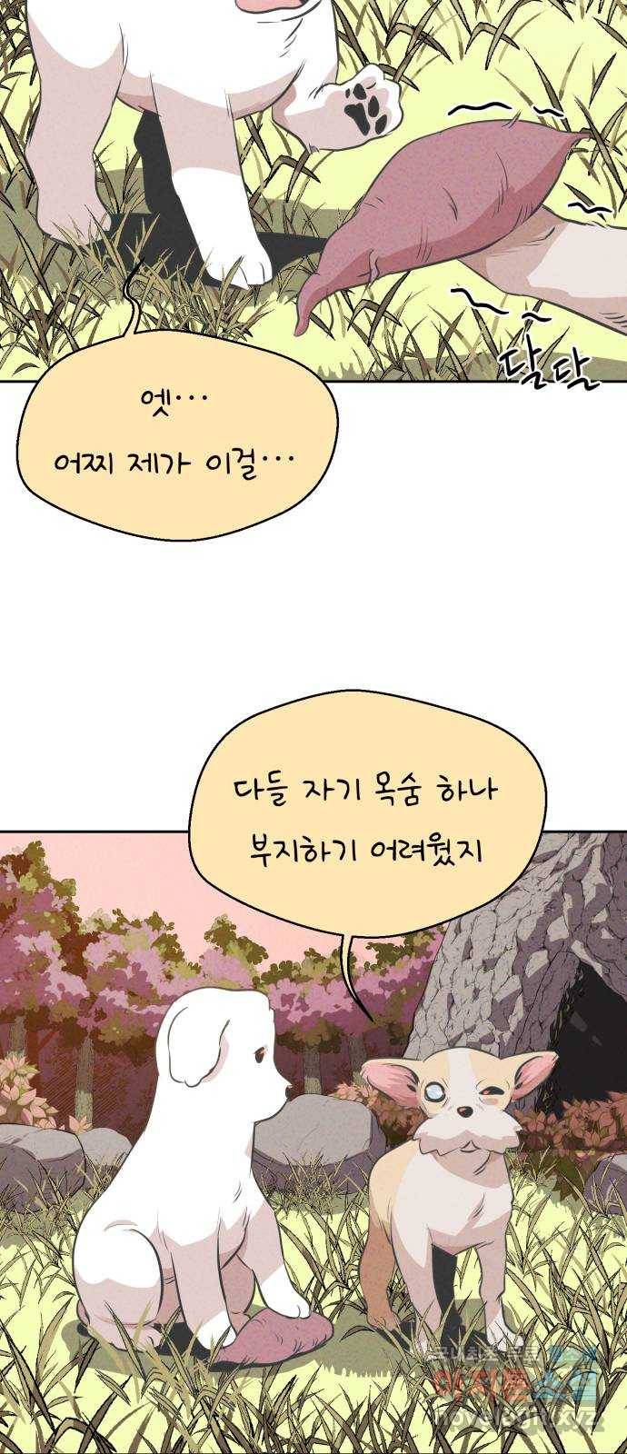 개와 사람의 시간 11화 22