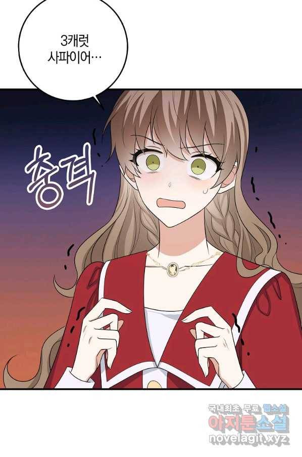 제가 산 건 땅이지 남자가 아닌데요 35화 31