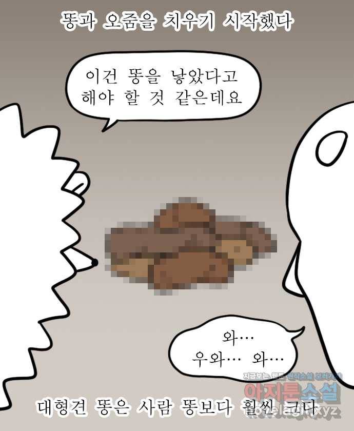 독립일기 시즌2 92화 유기견 보호소 봉사활동 7