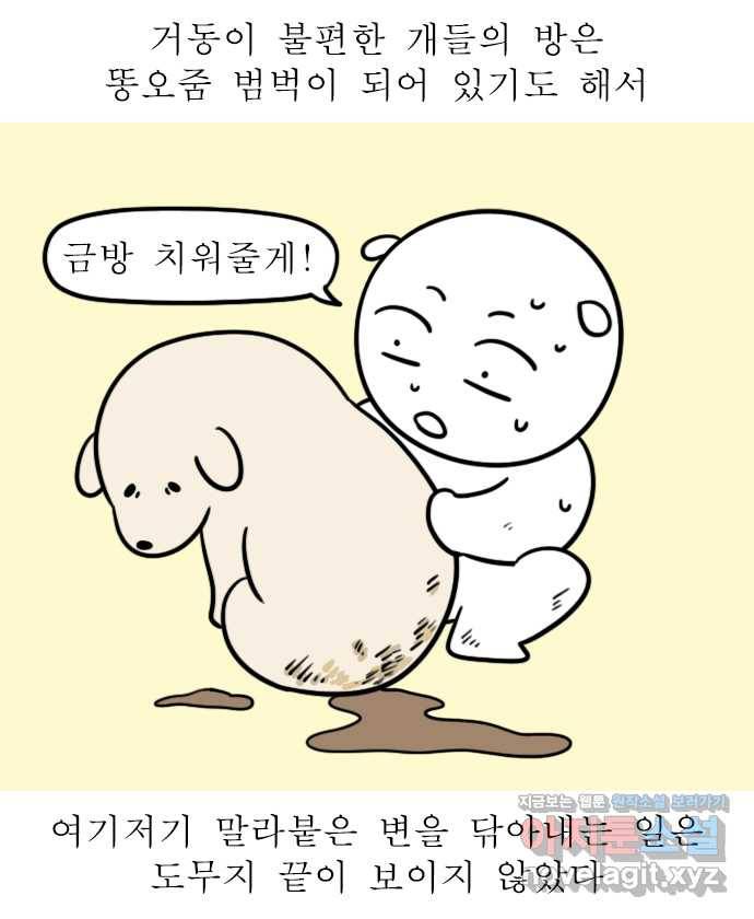독립일기 시즌2 92화 유기견 보호소 봉사활동 11