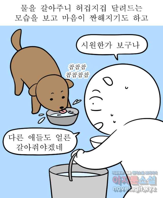 독립일기 시즌2 92화 유기견 보호소 봉사활동 12