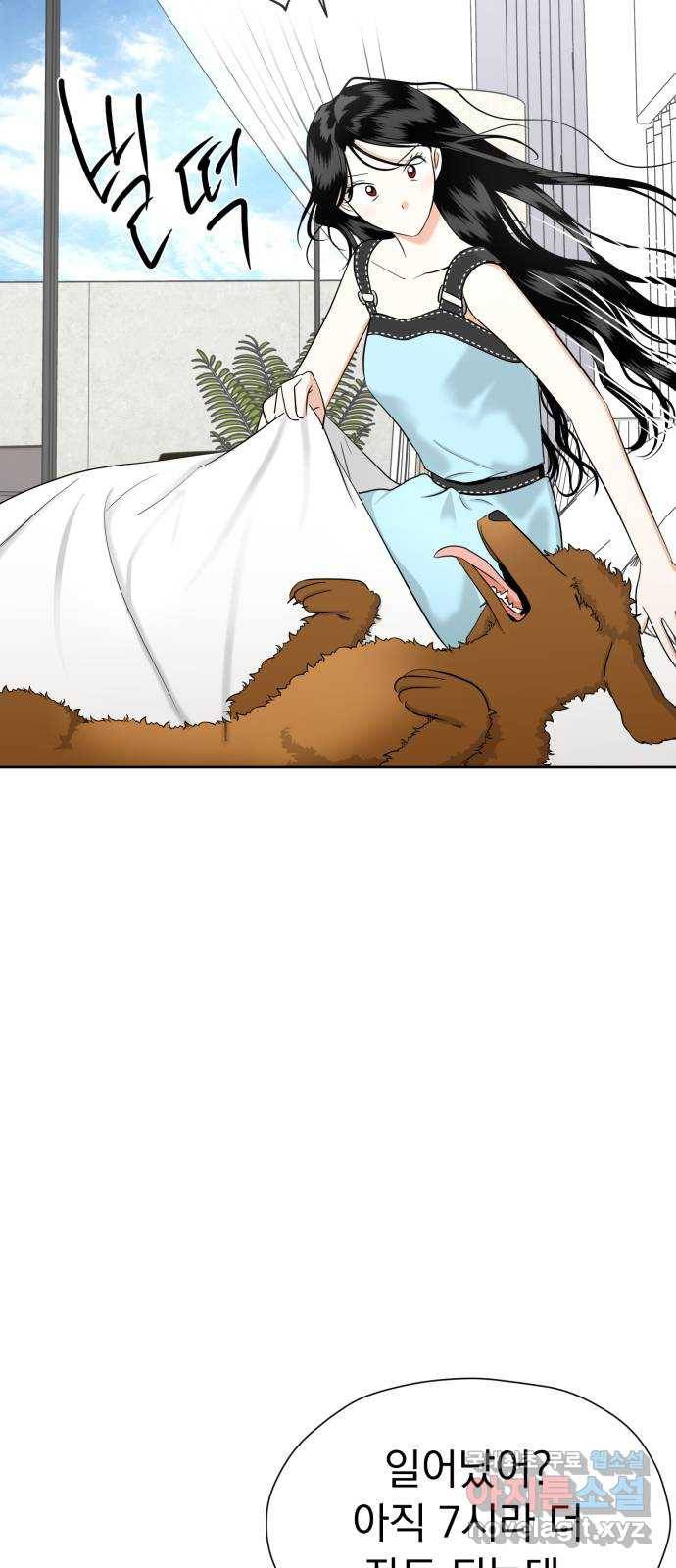 결혼까지 망상했어! 79화 꽃과 귤 4
