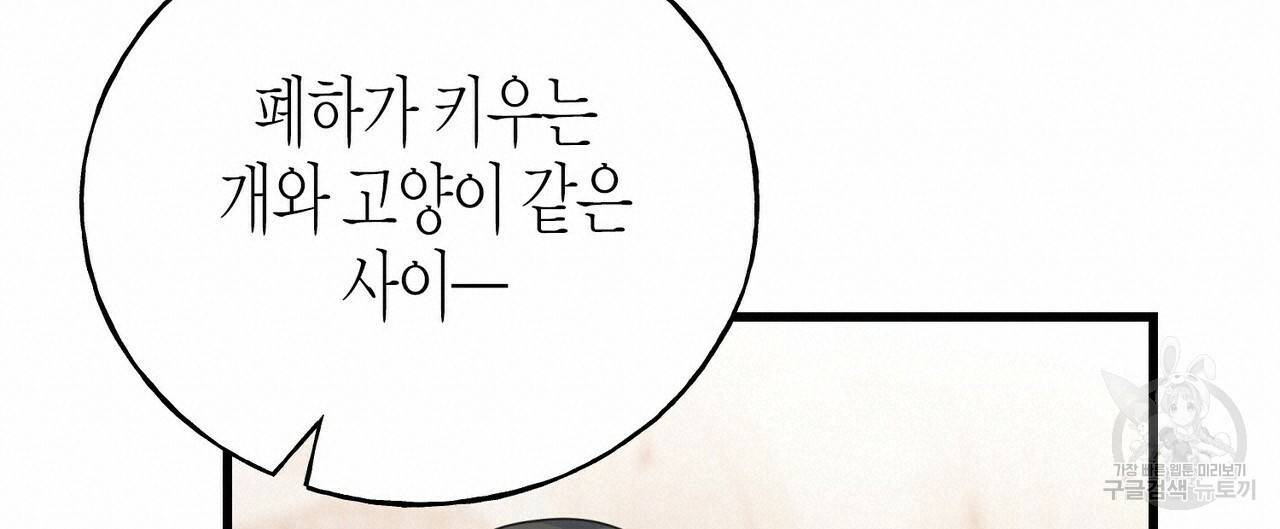 까마귀는 반짝이는 것을 좋아해 76화 80
