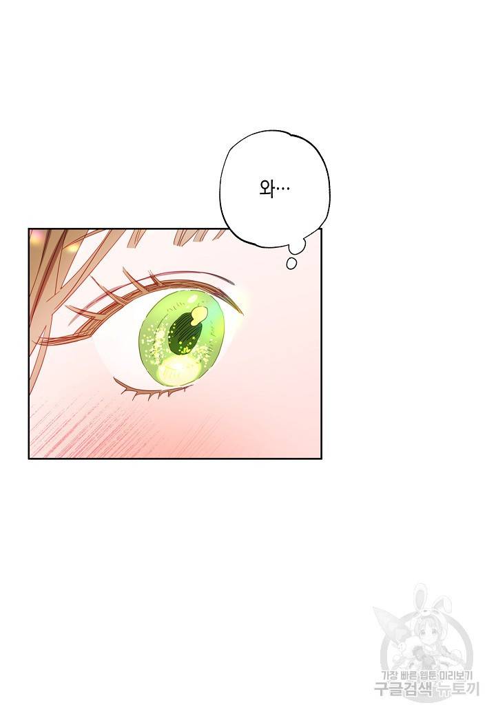 흑막 남편과의 이혼에 실패한 것 같다 6화 11
