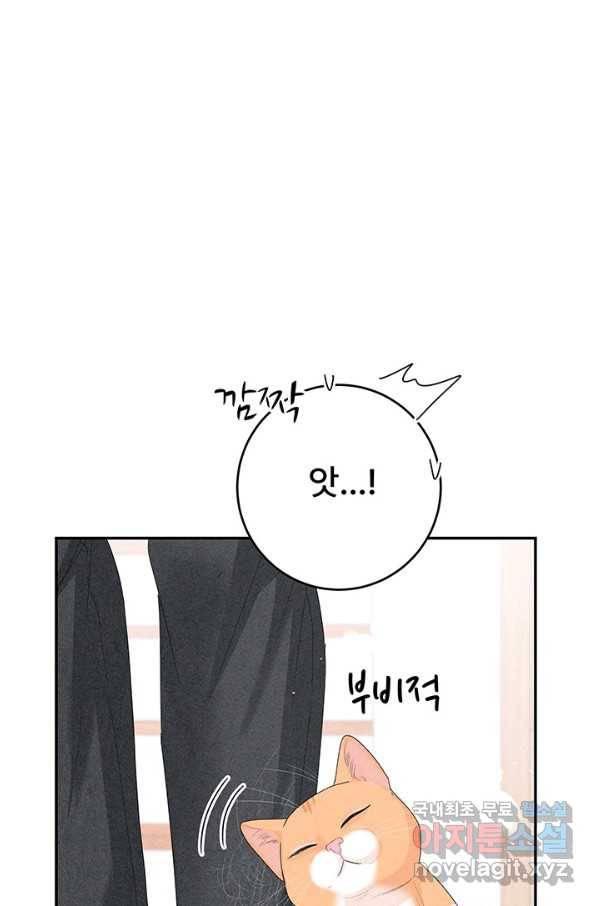 아내를 구하는 4가지 방법 65화 85