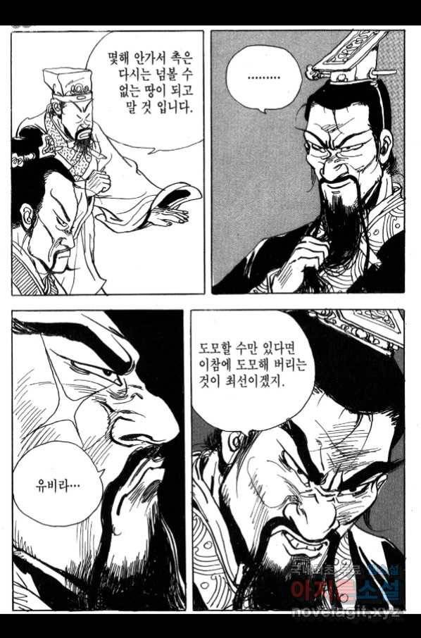 박봉성 삼국지 4부 3권 61