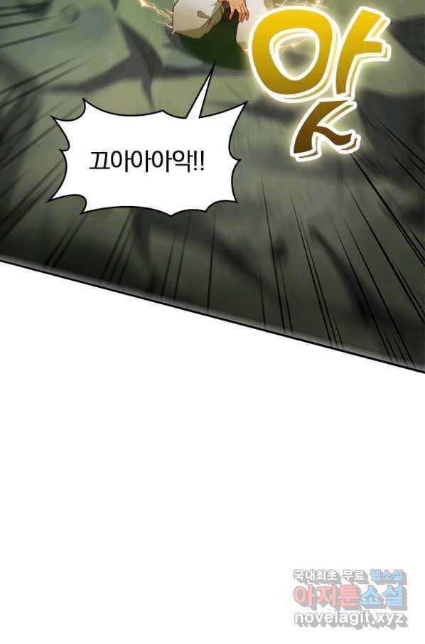 폐인무쌍:용병왕의 귀환 51화 69