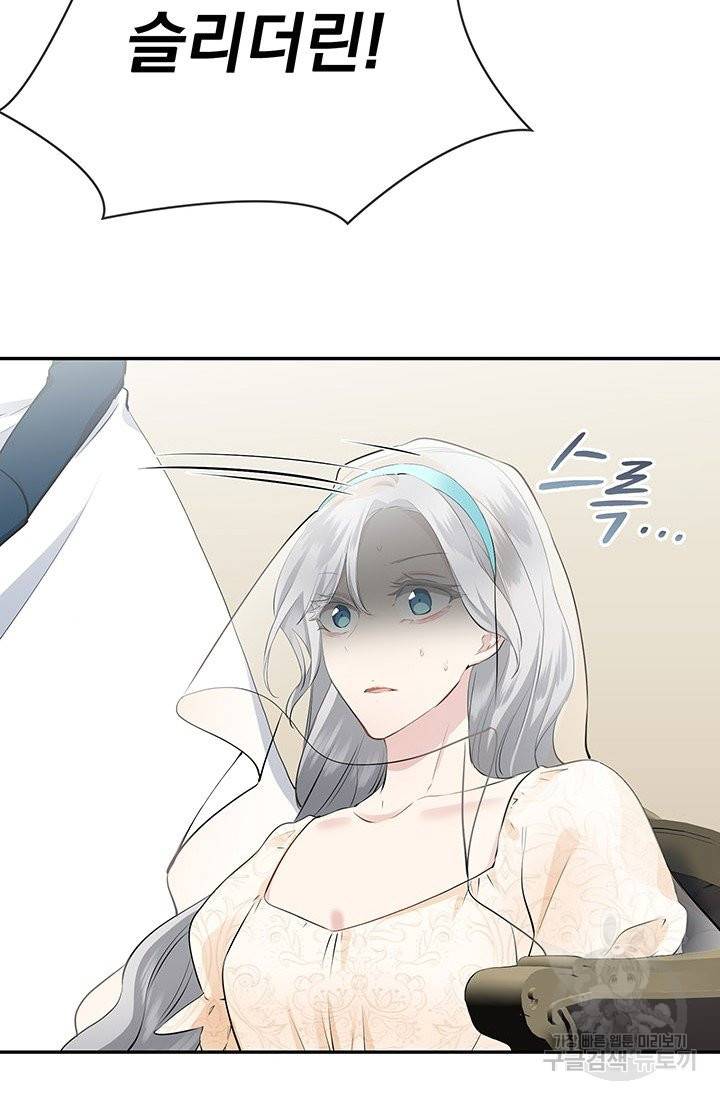 눌리타스 : 절반의 백작 영애 73화 그대 곁에서 그대를 꿈꿉니다 2 13