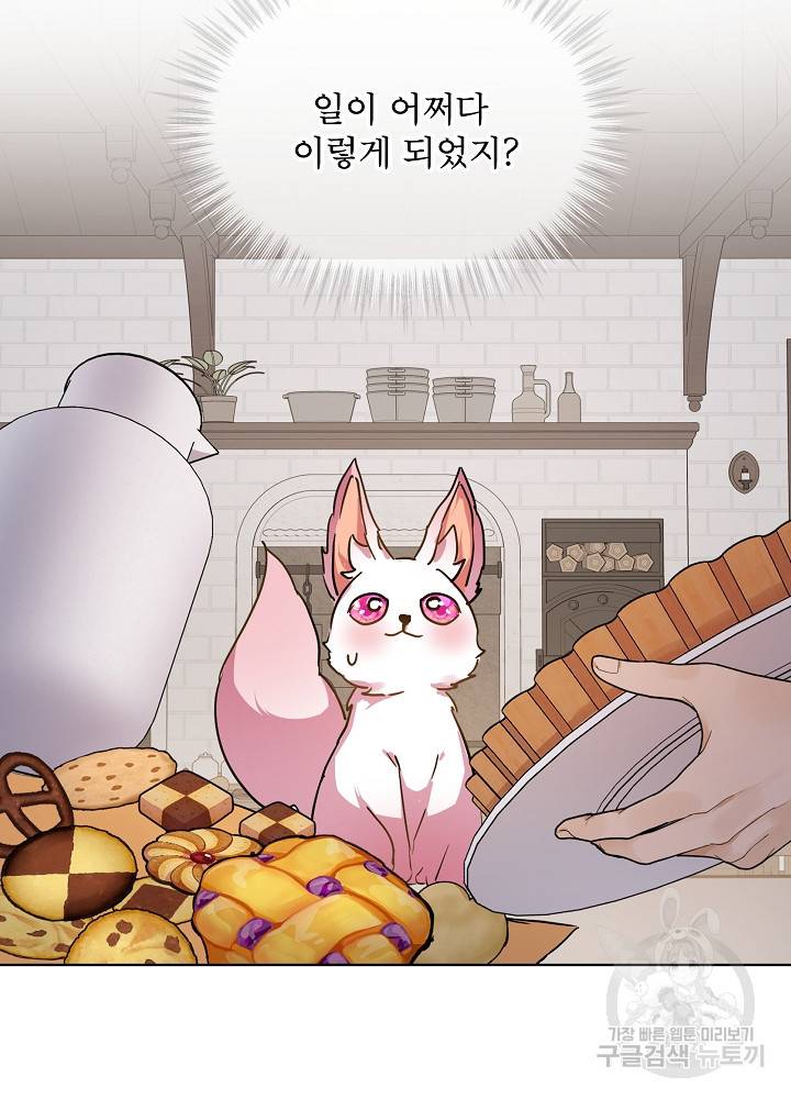 아기 신수로 환생했습니다 8화 5