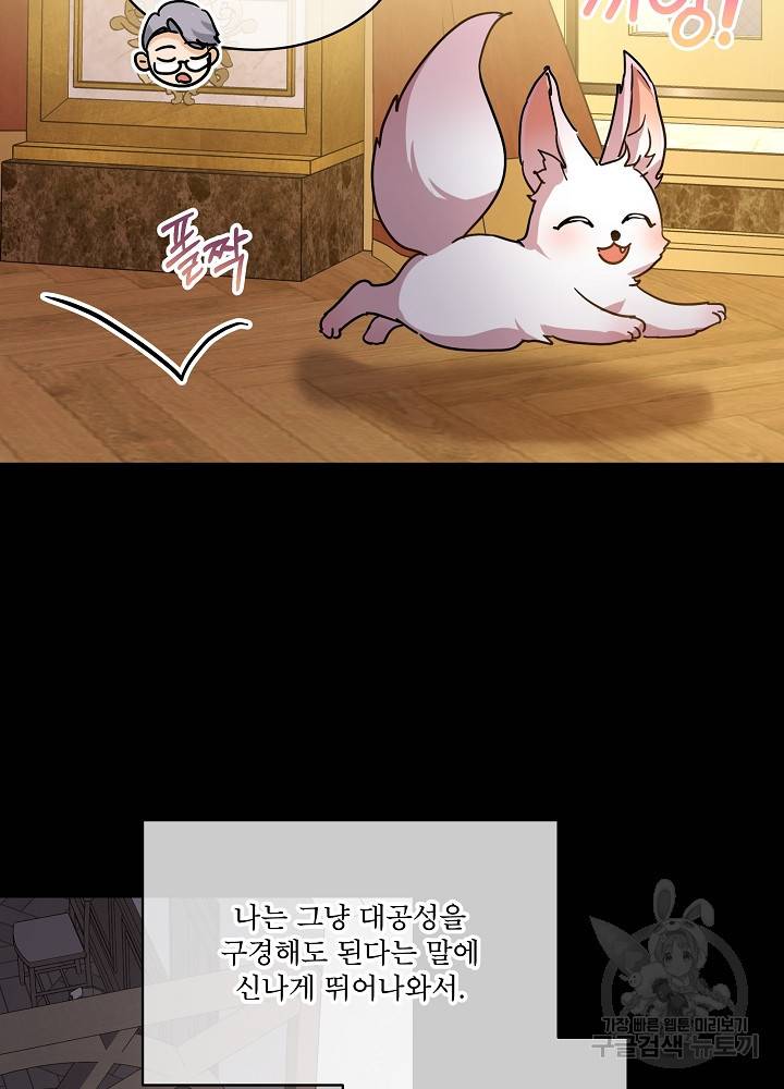 아기 신수로 환생했습니다 8화 10