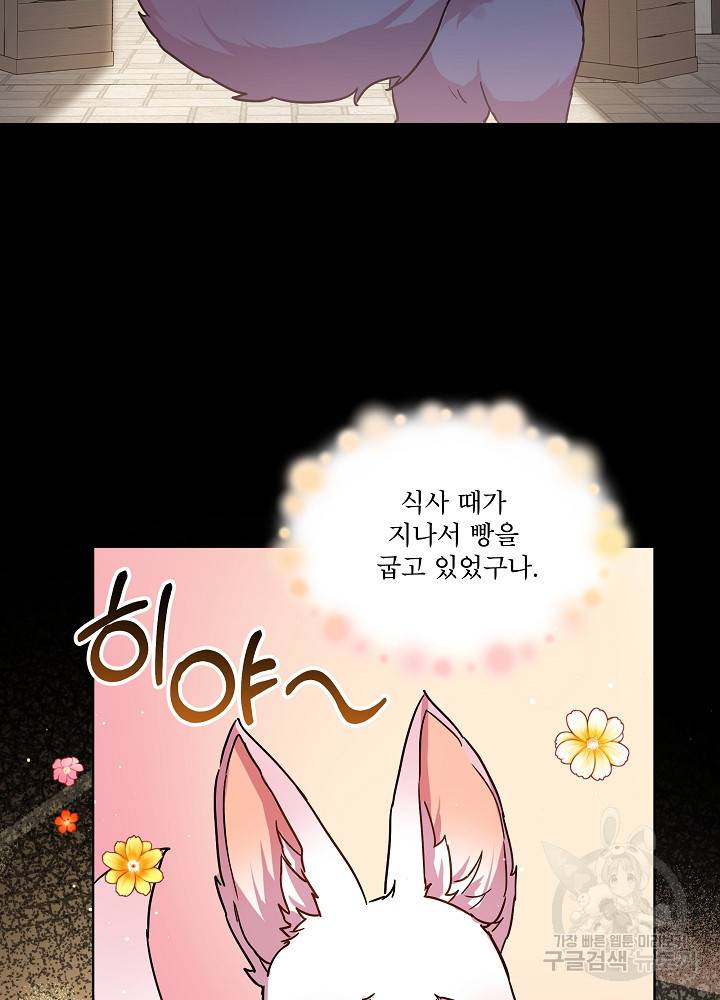 아기 신수로 환생했습니다 8화 14