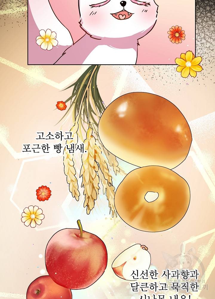 아기 신수로 환생했습니다 8화 15