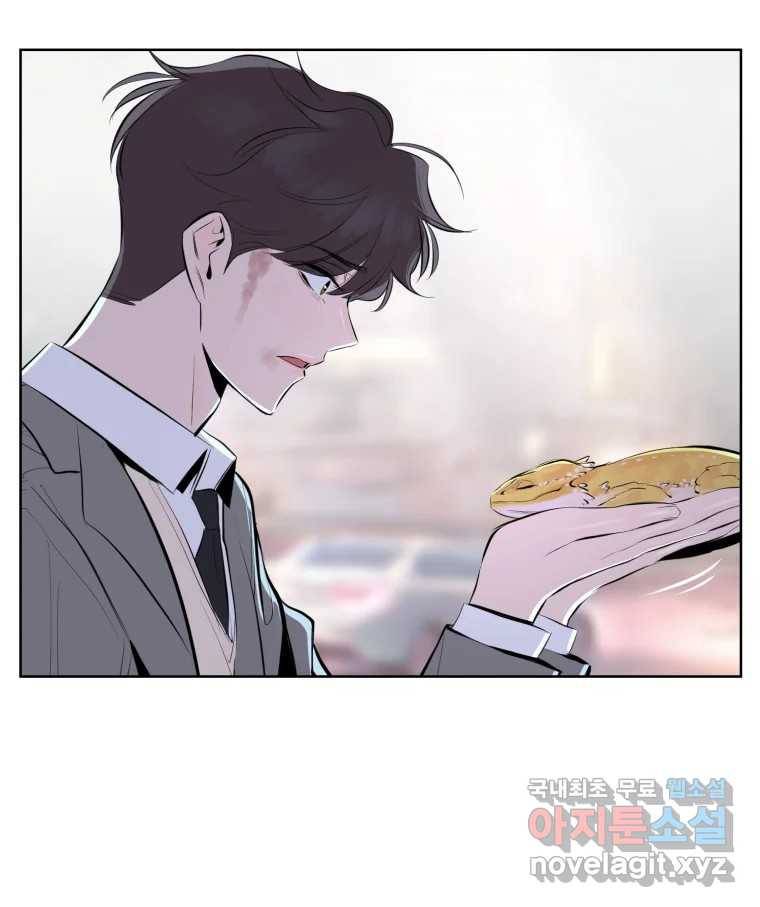 케어시트 54화 돼지 82