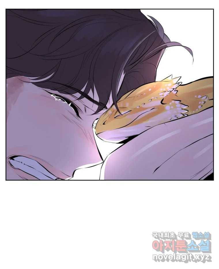 케어시트 54화 돼지 87