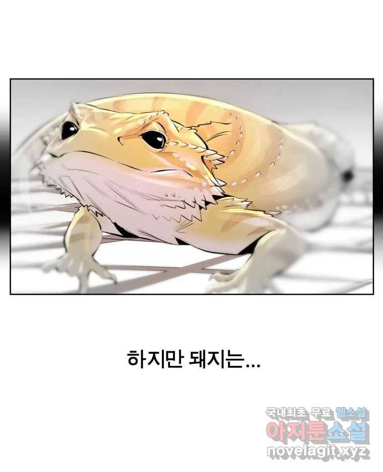 케어시트 54화 돼지 93