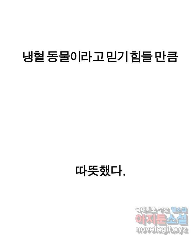 케어시트 54화 돼지 97