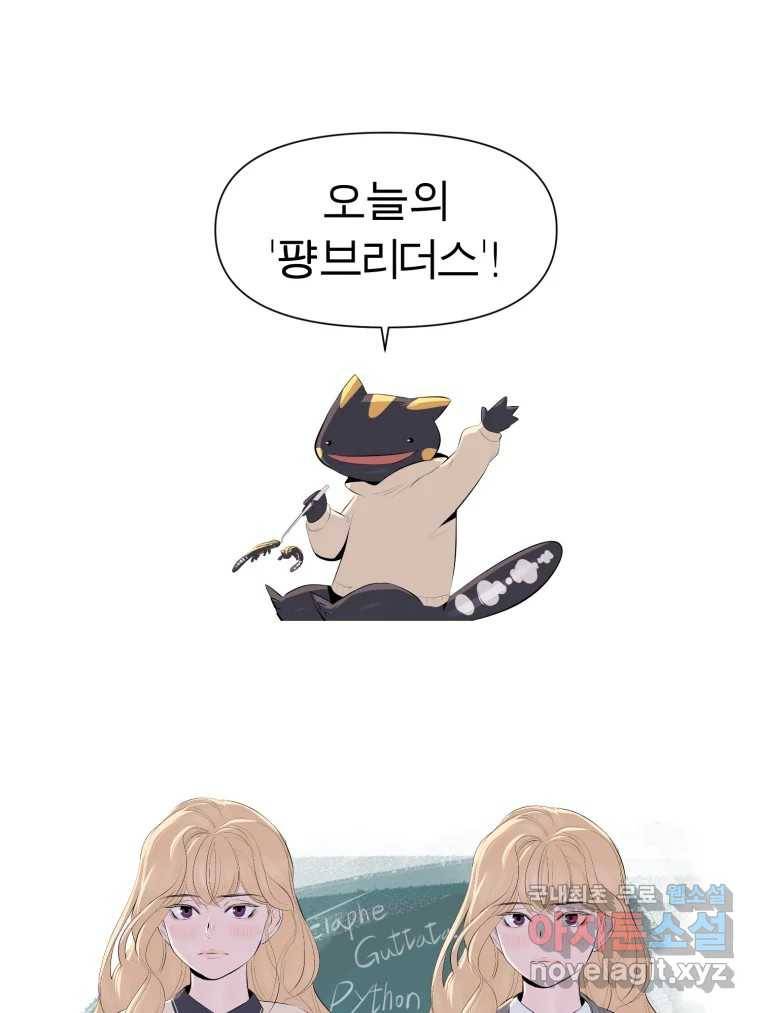 케어시트 54화 돼지 99
