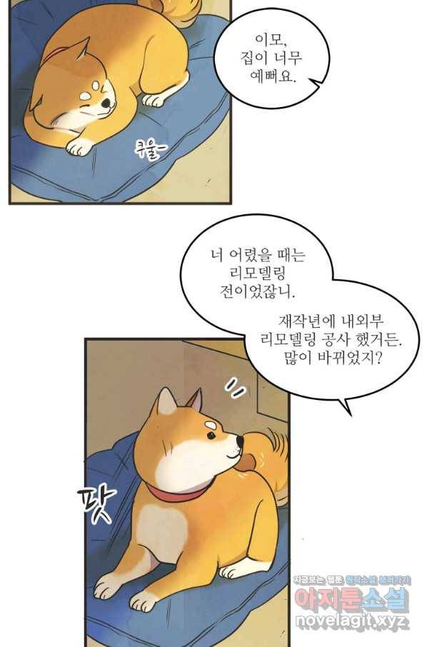 N번째 연애 37화 35