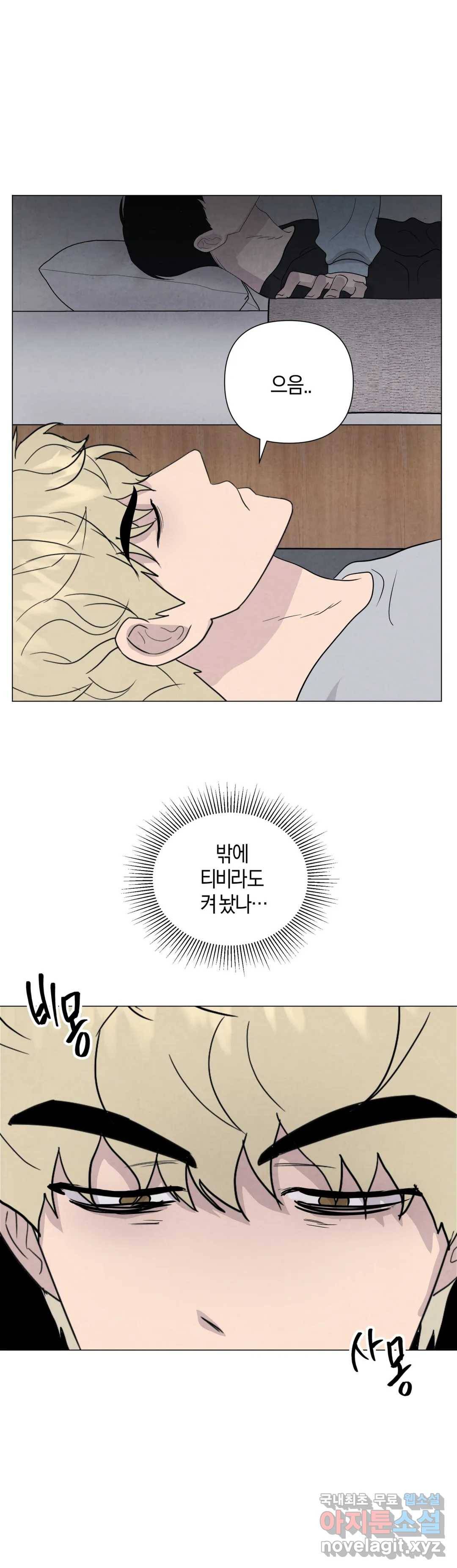 미미 41화 2