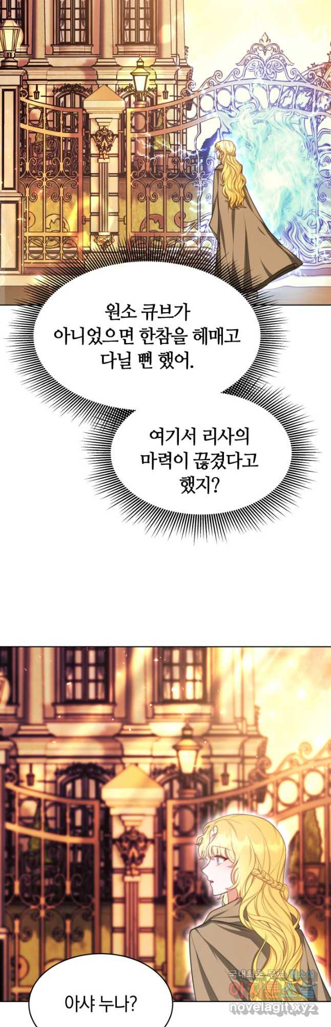 전남편이 남주가 된 것에 관하여 33화 29