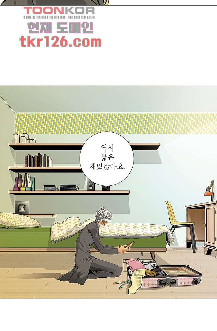 케덴독 38화 3