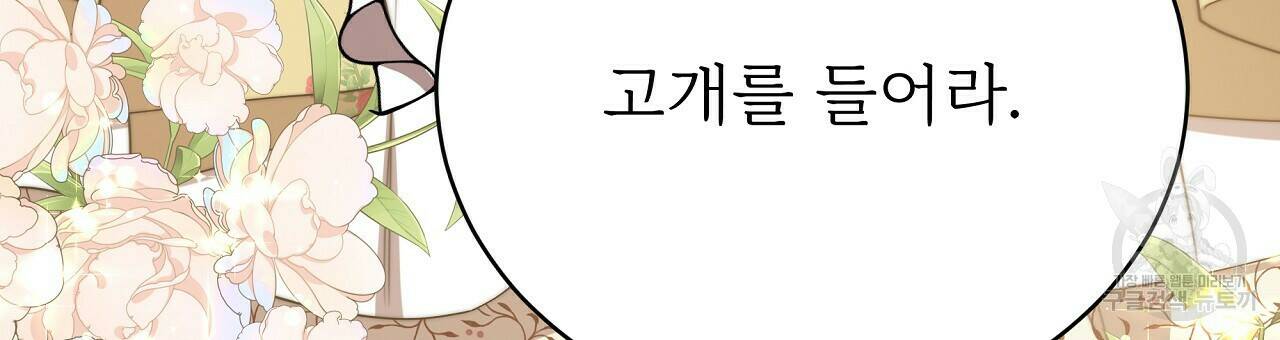 잊혀진 황녀는 평화롭게 살고 싶어 67화 45