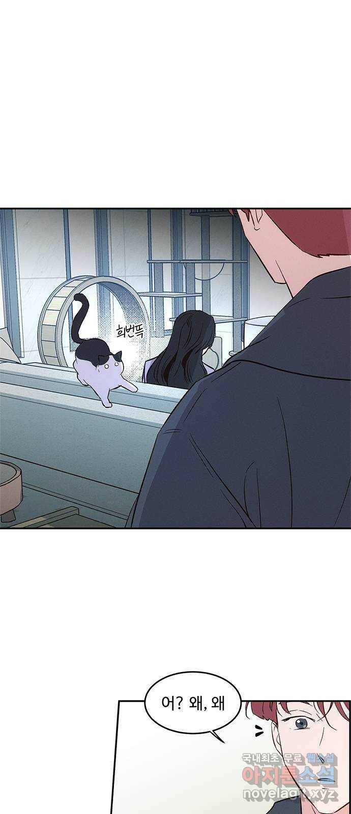 키스의 여왕 36화 38