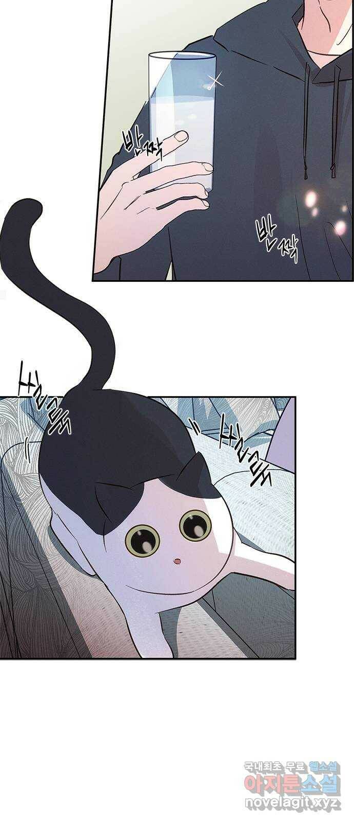 키스의 여왕 36화 39