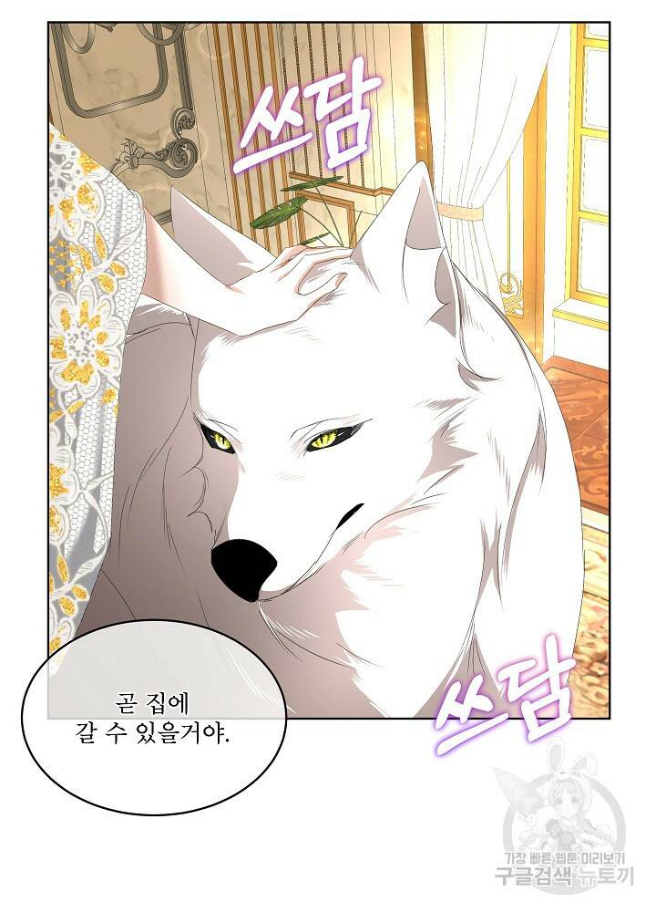 남주를 임시보호 중입니다 7화 77